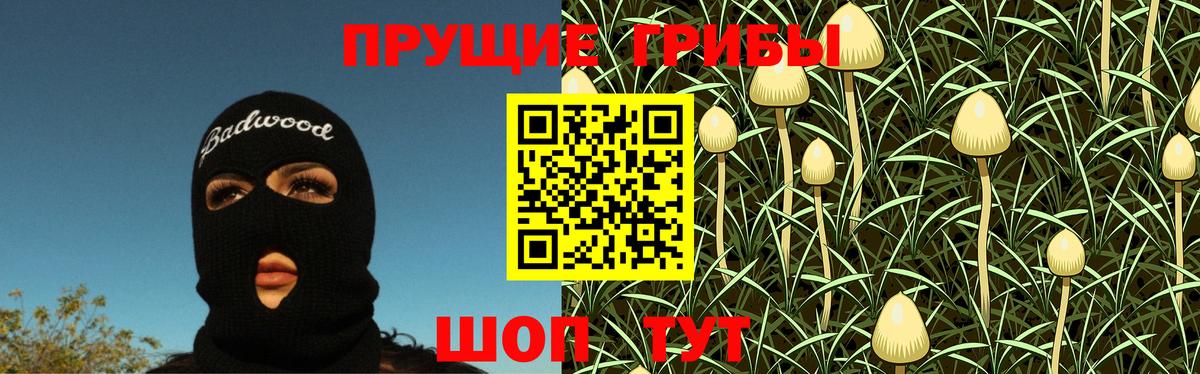 Тихвин  Псилоцибиновые грибы Psilocybe  Вход с VPN 